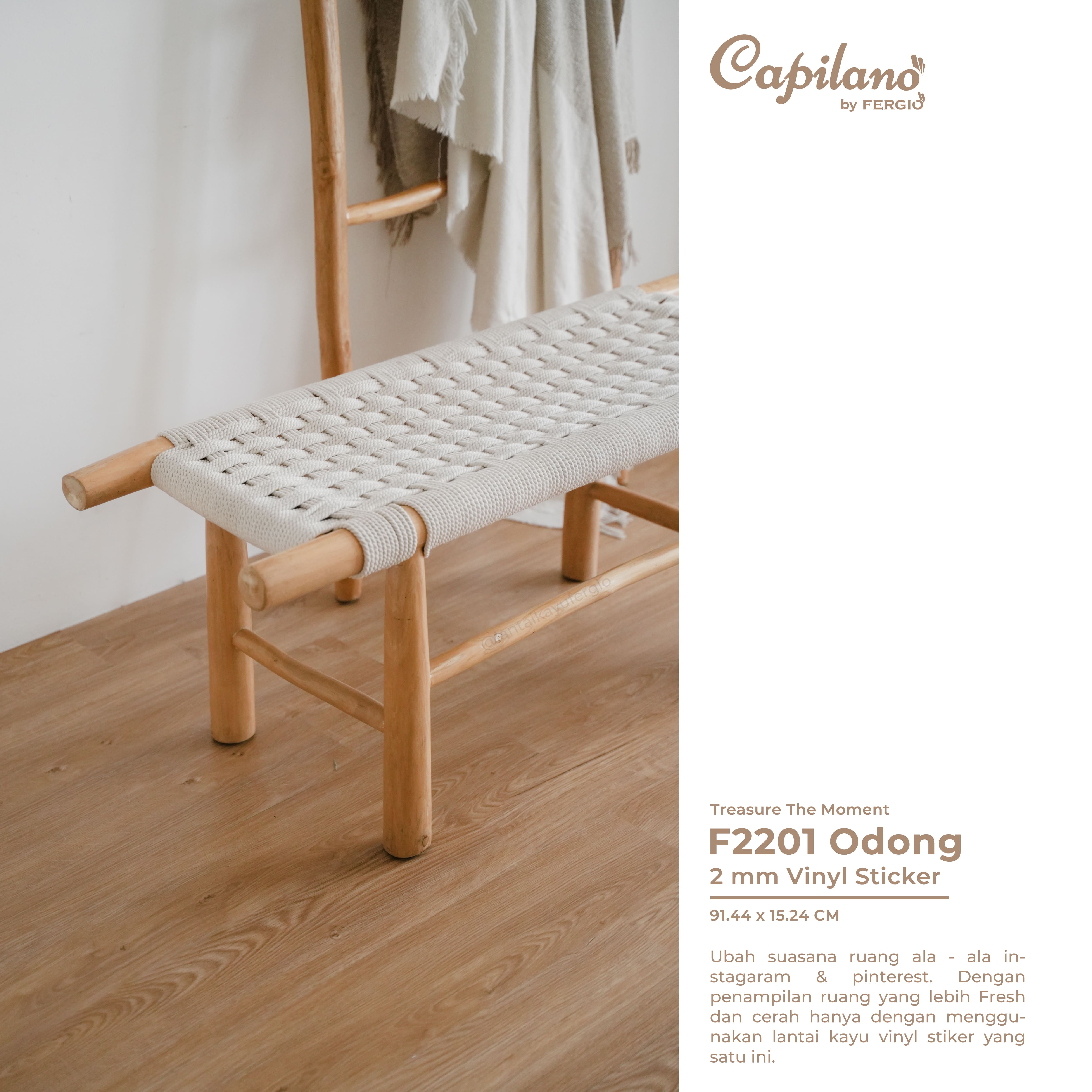 product-detail-5-odong-f2201