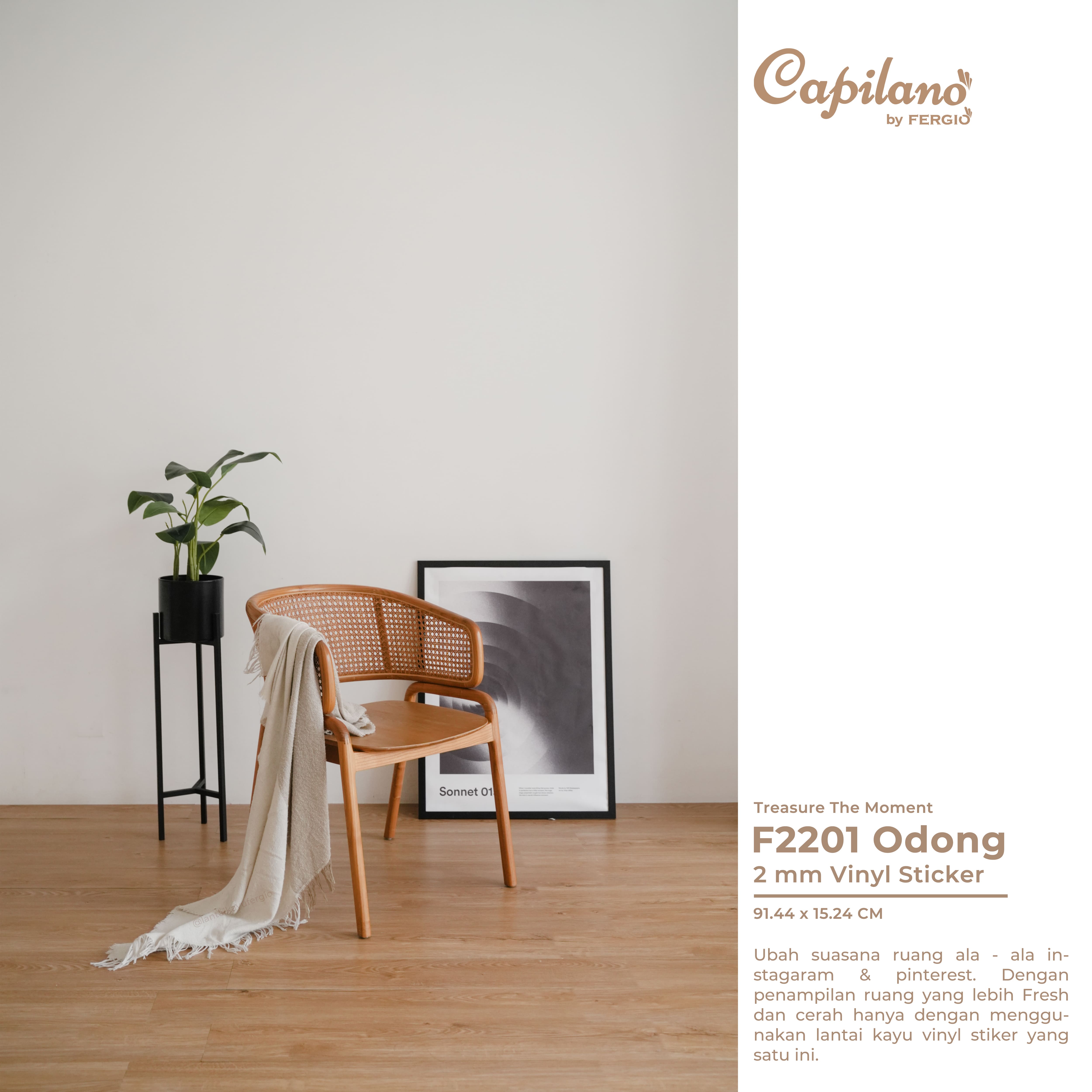 product-detail-3-odong-f2201