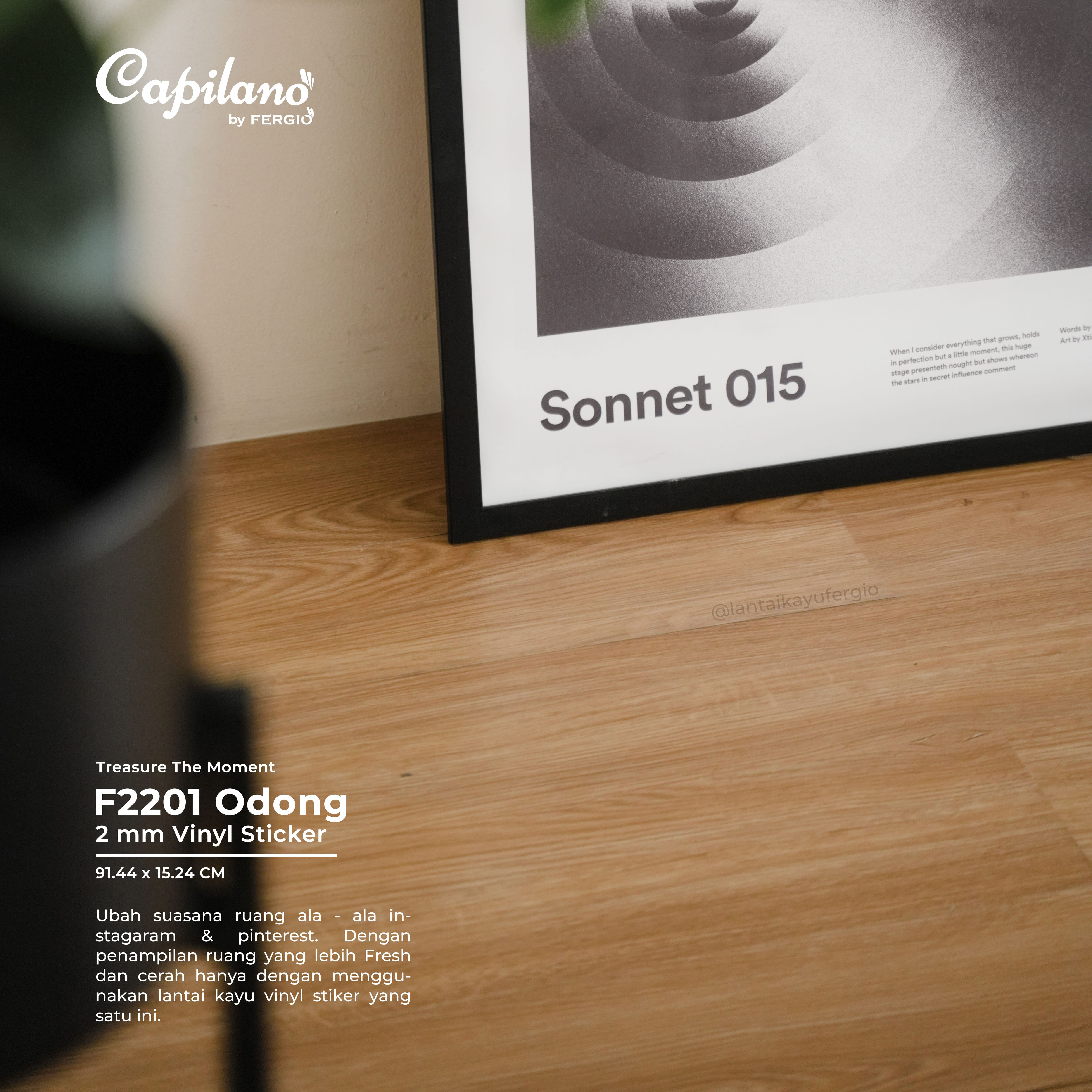 product-detail-2-odong-f2201