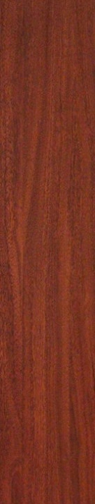 left-image-second-andaman-padauk-f215